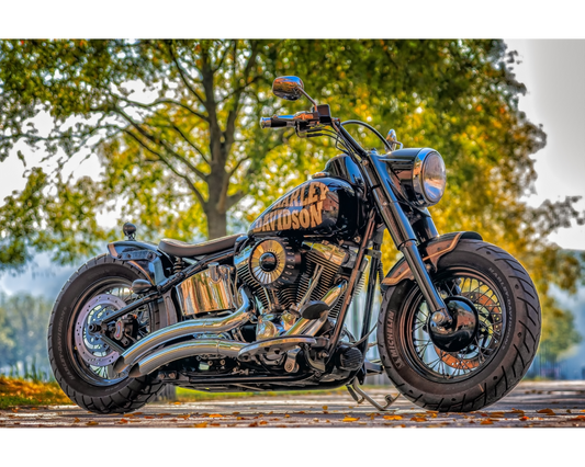Revolutionize Your Ride: Harley Davidson Motorcycle Decals